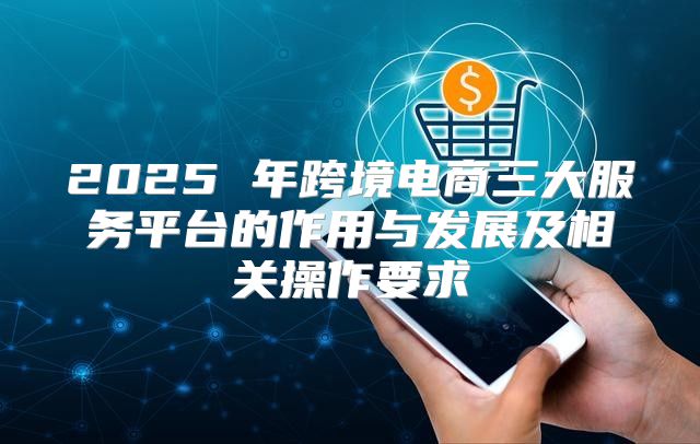 2025 年跨境电商三大服务平台的作用与发展及相关操作要求