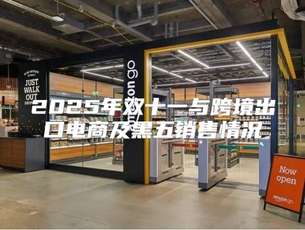 2025年双十一与跨境出口电商及黑五销售情况