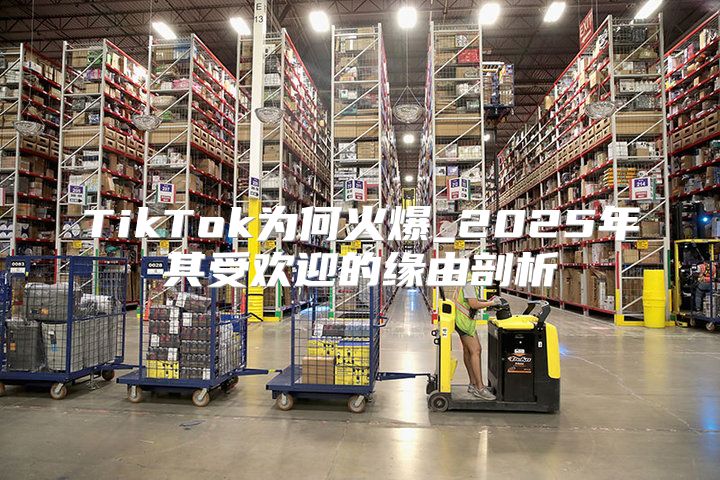 TikTok为何火爆_2025年其受欢迎的缘由剖析