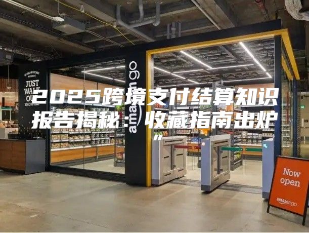 2025跨境支付结算知识报告揭秘：收藏指南出炉”