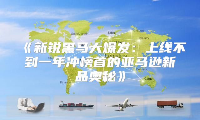 新锐黑马大爆发：上线不到一年冲榜首的亚马逊新品奥秘