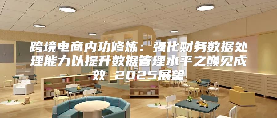 跨境电商内功修炼：强化财务数据处理能力以提升数据管理水平之巅见成效 2025展望