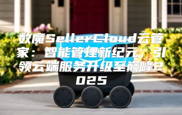 数魔SellerCloud云管家：智能管理新纪元，引领云端服务升级至巅峰2025