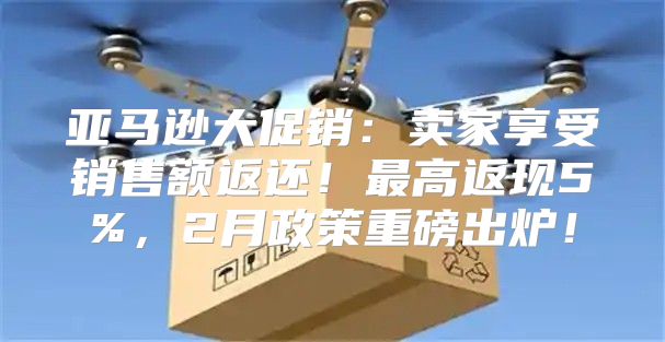 亚马逊大促销：卖家享受销售额返还！最高返现5%，2月政策重磅出炉！