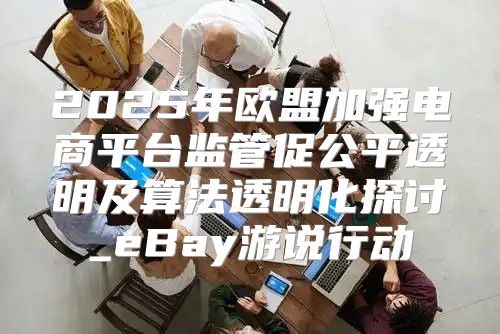2025年欧盟加强电商平台监管促公平透明及算法透明化探讨_eBay游说行动