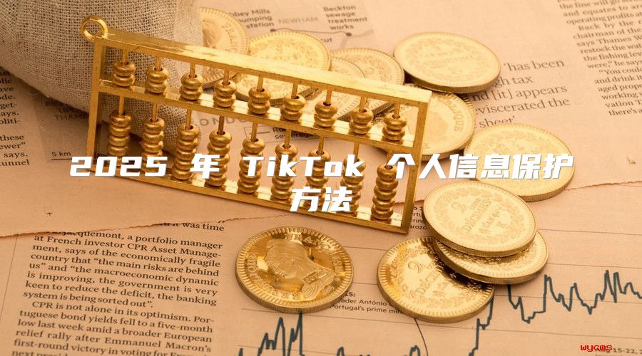 2025 年 TikTok 个人信息保护方法