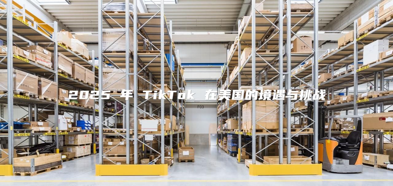 2025 年 TikTok 在美国的境遇与挑战