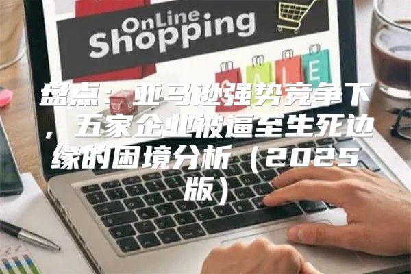 盘点：亚马逊强势竞争下，五家企业被逼至生死边缘的困境分析2025版