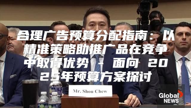 合理广告预算分配指南：以精准策略助推广品在竞争中取得优势 - 面向 2025年预算方案探讨