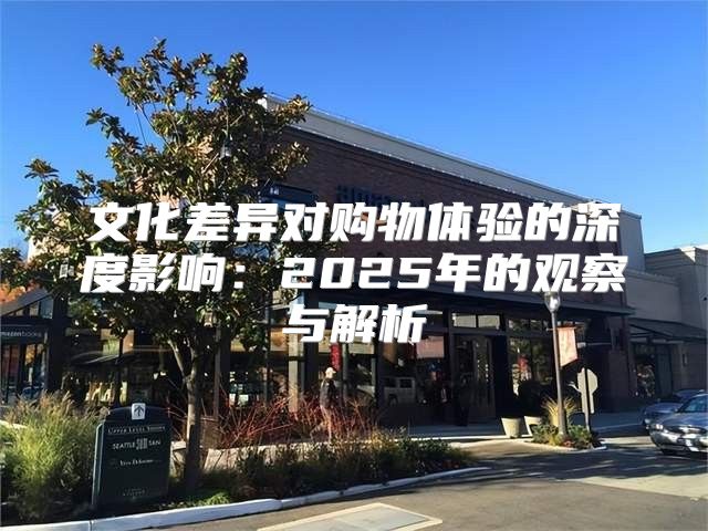 文化差异对购物体验的深度影响：2025年的观察与解析