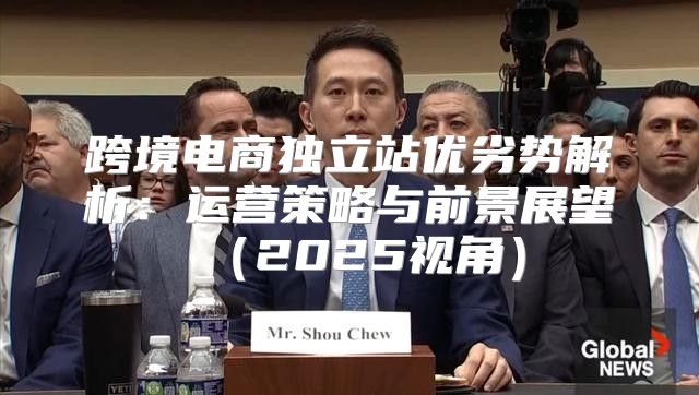 跨境电商独立站优劣势解析：运营策略与前景展望2025视角