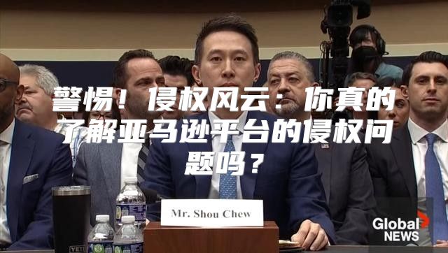 警惕！侵权风云：你真的了解亚马逊平台的侵权问题吗？