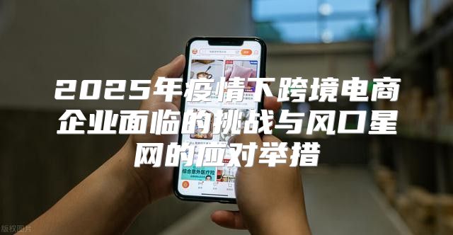 2025年疫情下跨境电商企业面临的挑战与风口星网的应对举措