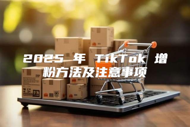 2025 年 TikTok 增粉方法及注意事项