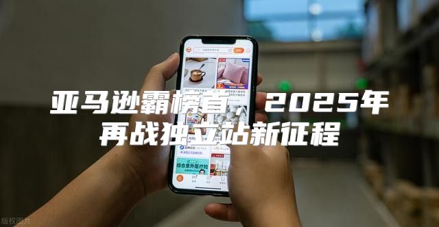 亚马逊霸榜首，2025年再战独立站新征程