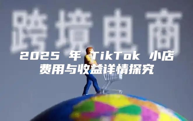 2025 年 TikTok 小店费用与收益详情探究