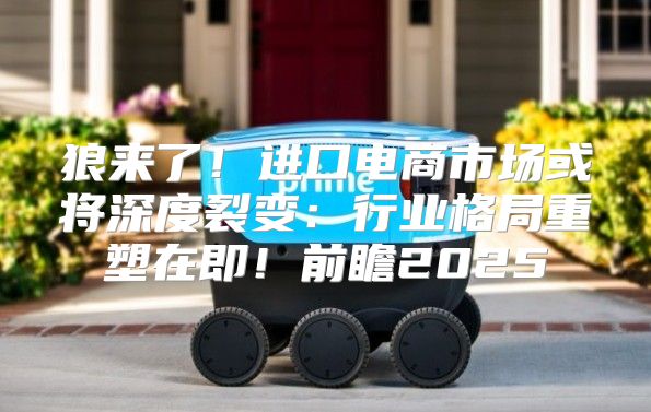 狼来了！进口电商市场或将深度裂变：行业格局重塑在即！前瞻2025