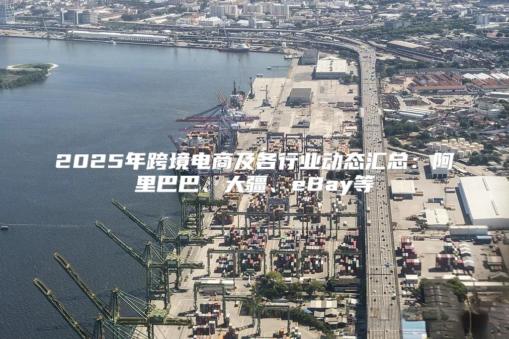 2025年跨境电商及各行业动态汇总：阿里巴巴、大疆、eBay等