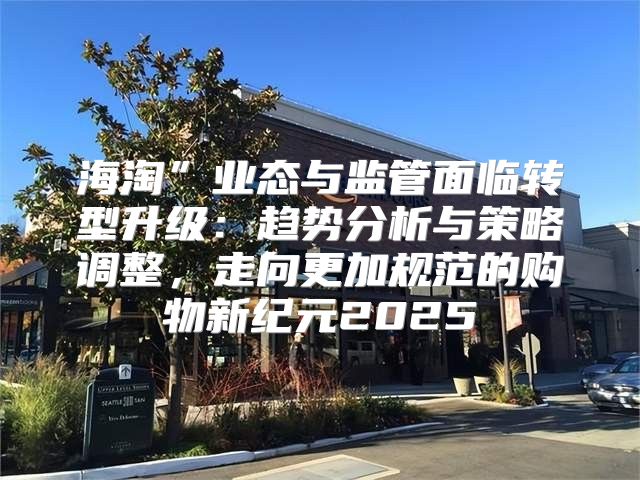海淘”业态与监管面临转型升级：趋势分析与策略调整，走向更加规范的购物新纪元2025