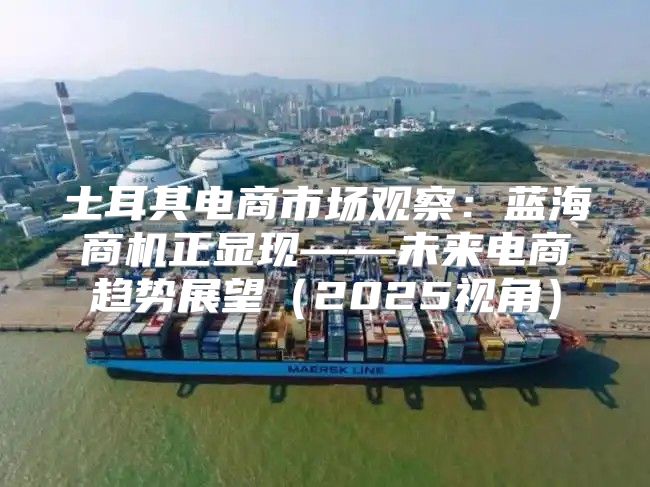 土耳其电商市场观察：蓝海商机正显现——未来电商趋势展望2025视角