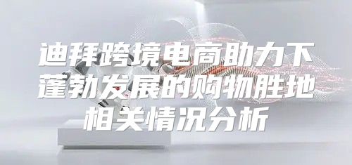 迪拜跨境电商助力下蓬勃发展的购物胜地相关情况分析