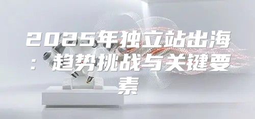 2025年独立站出海：趋势挑战与关键要素