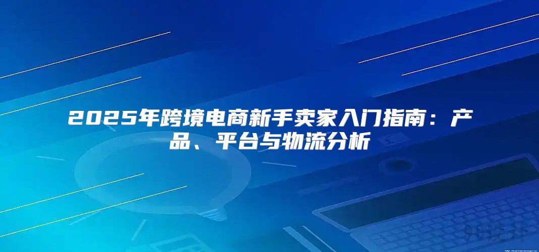2025年跨境电商新手卖家入门指南：产品、平台与物流分析