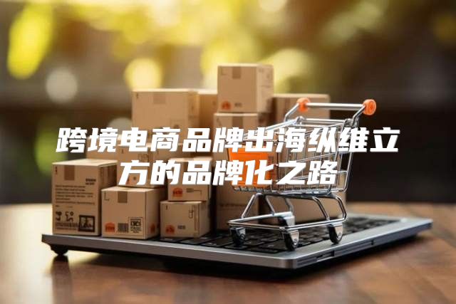 跨境电商品牌出海纵维立方的品牌化之路