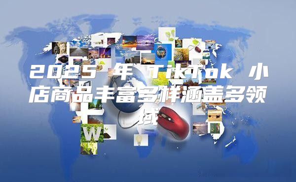 2025 年 TikTok 小店商品丰富多样涵盖多领域