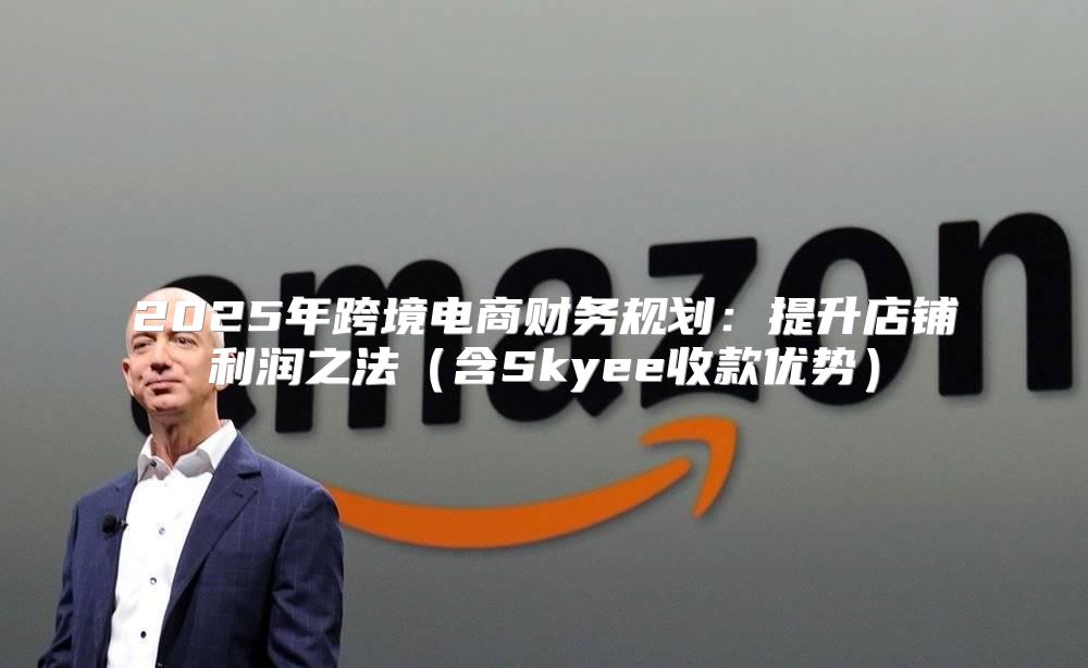 2025年跨境电商财务规划：提升店铺利润之法含Skyee收款优势