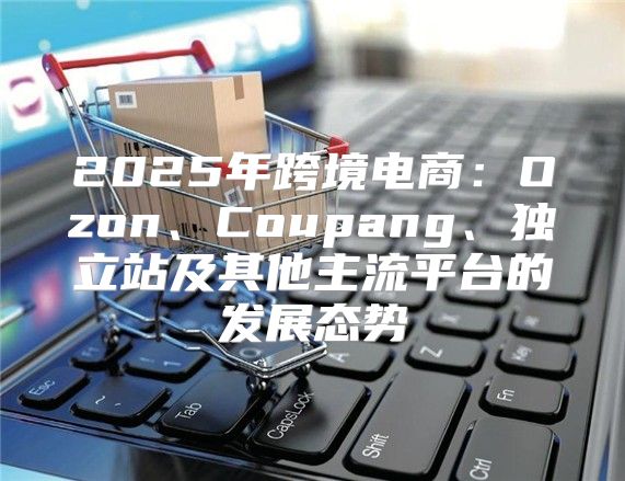 2025年跨境电商：Ozon、Coupang、独立站及其他主流平台的发展态势