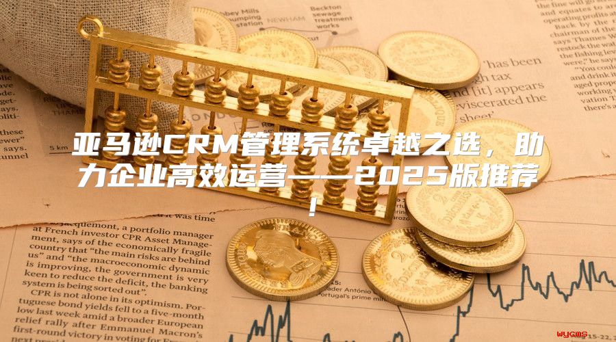 亚马逊CRM管理系统卓越之选，助力企业高效运营——2025版推荐！