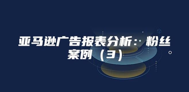 亚马逊广告报表分析：粉丝案例3