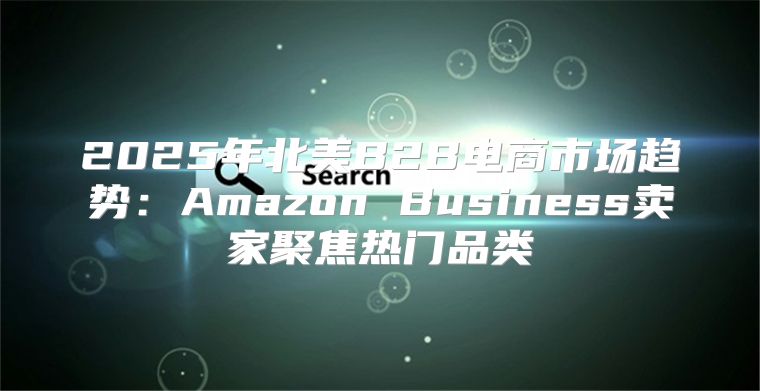2025年北美B2B电商市场趋势：Amazon Business卖家聚焦热门品类