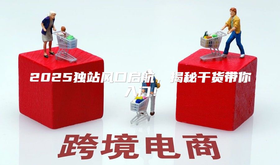2025独站风口启航，揭秘干货带你入门！