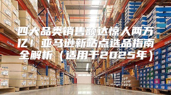 四大品类销售额达惊人两万亿！亚马逊新站点选品指南全解析适用于2025年！