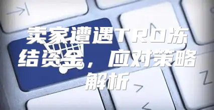卖家遭遇TRO冻结资金，应对策略解析