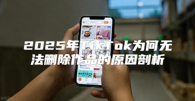 2025年TikTok为何无法删除作品的原因剖析