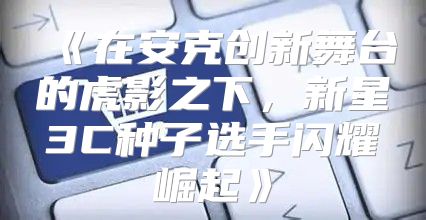 在安克创新舞台的虎影之下，新星3C种子选手闪耀崛起