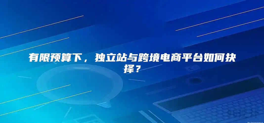有限预算下，独立站与跨境电商平台如何抉择？