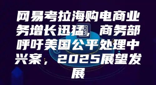 网易考拉海购电商业务增长迅猛，商务部呼吁美国公平处理中兴案，2025展望发展