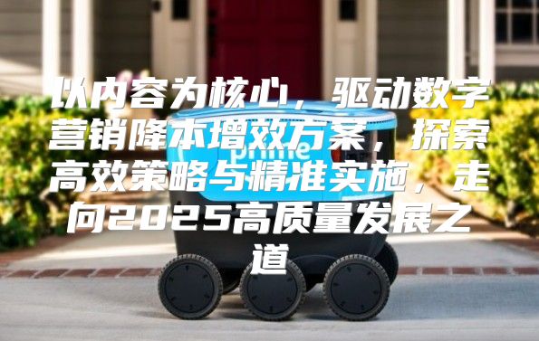 以内容为核心，驱动数字营销降本增效方案，探索高效策略与精准实施，走向2025高质量发展之道