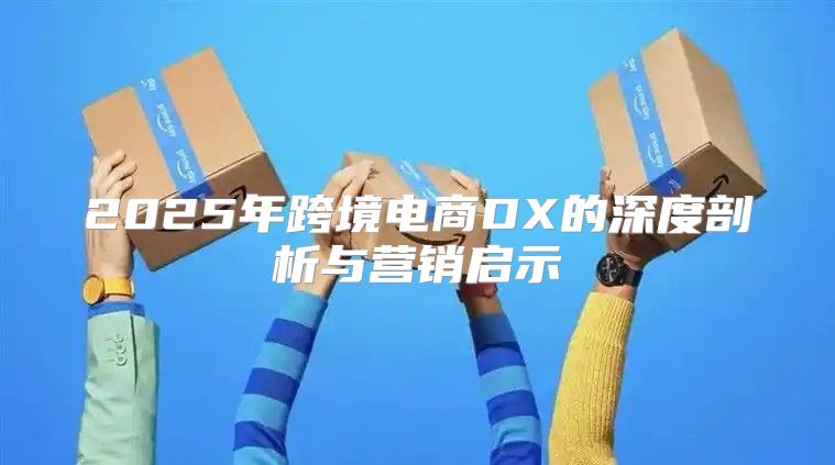 2025年跨境电商DX的深度剖析与营销启示