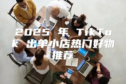 2025 年 TikTok 出单小店热门好物推荐