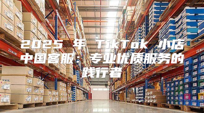 2025 年 TikTok 小店中国客服：专业优质服务的践行者