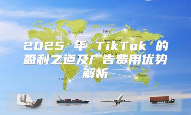 2025 年 TikTok 的盈利之道及广告费用优势解析