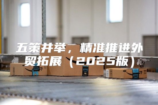 五策并举，精准推进外贸拓展2025版