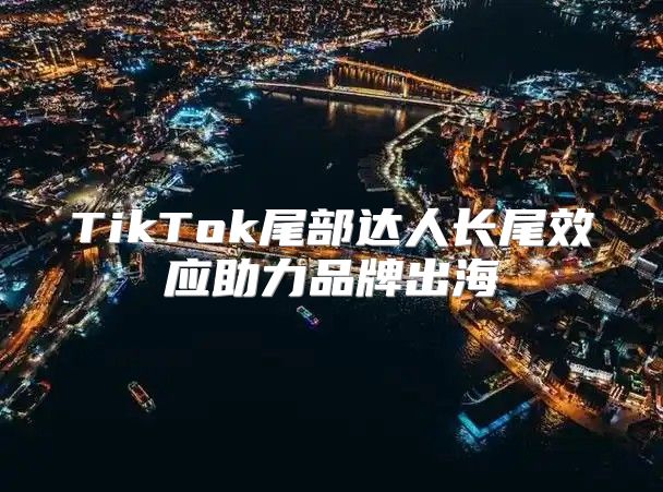 TikTok尾部达人长尾效应助力品牌出海