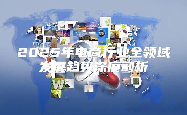 2025年电商行业全领域发展趋势深度剖析