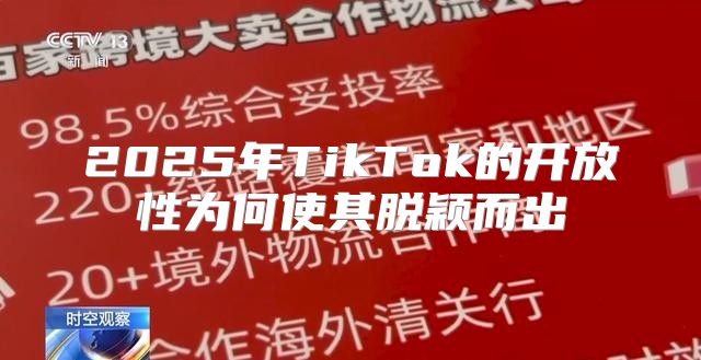 2025年TikTok的开放性为何使其脱颖而出